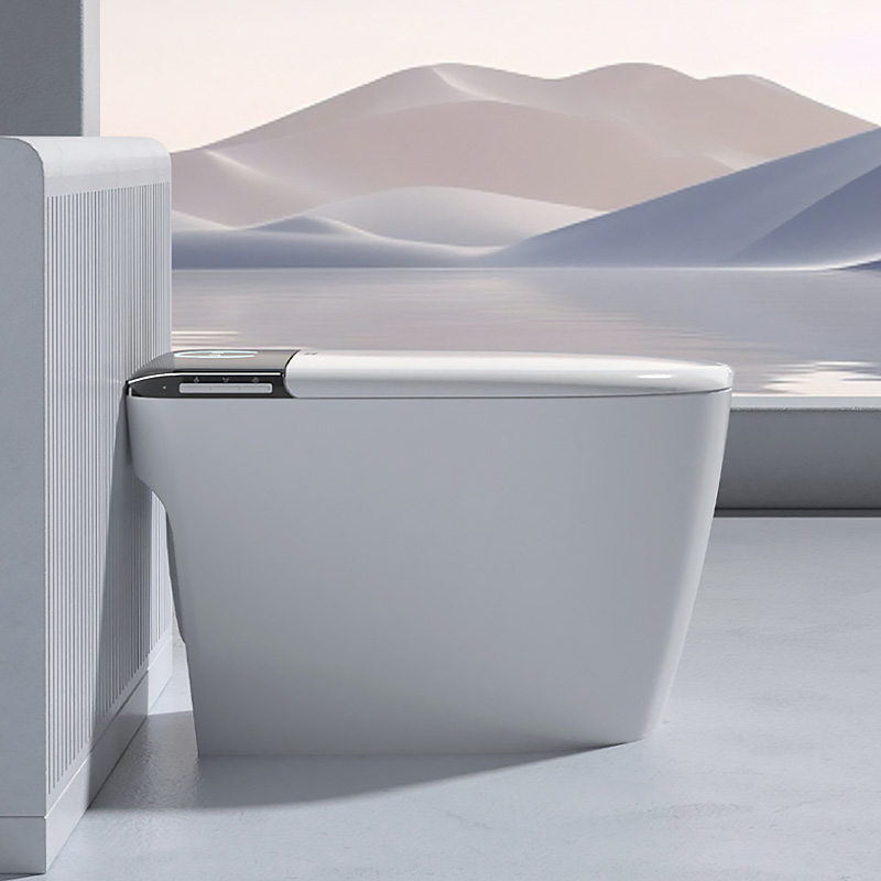 How to Install a Smart Toilet