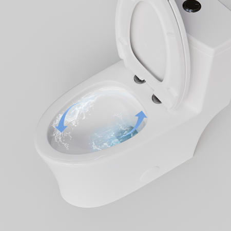 Rimless Siphon Flush